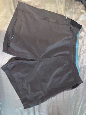 Men's Gray Birddogs Shorts with Light Blue Lining. Size Men’s M. 3 Pockets.